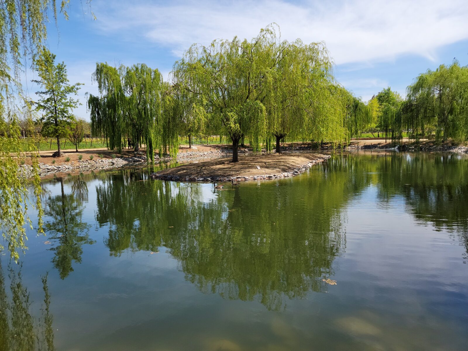 Wolfe Heights pond