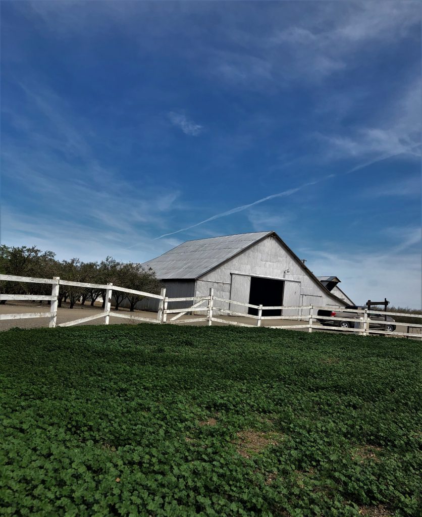 Abele Farms, Yolo County, Zamora. Barn and game corral.