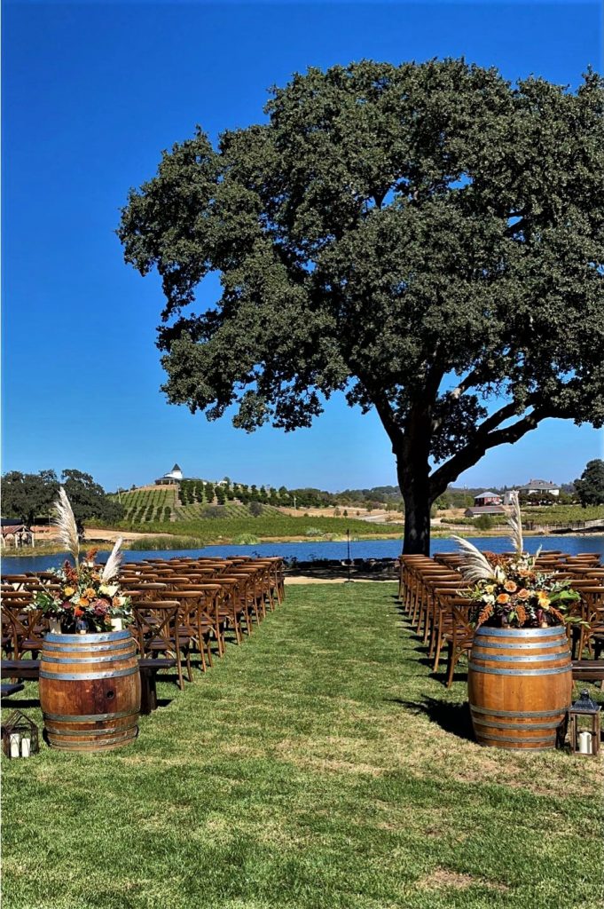 Saureel Vineyards ceremony oak tree