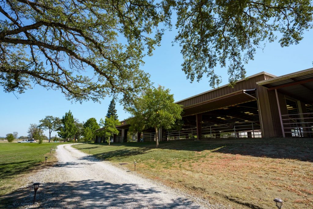 Saureel Vineyards arena