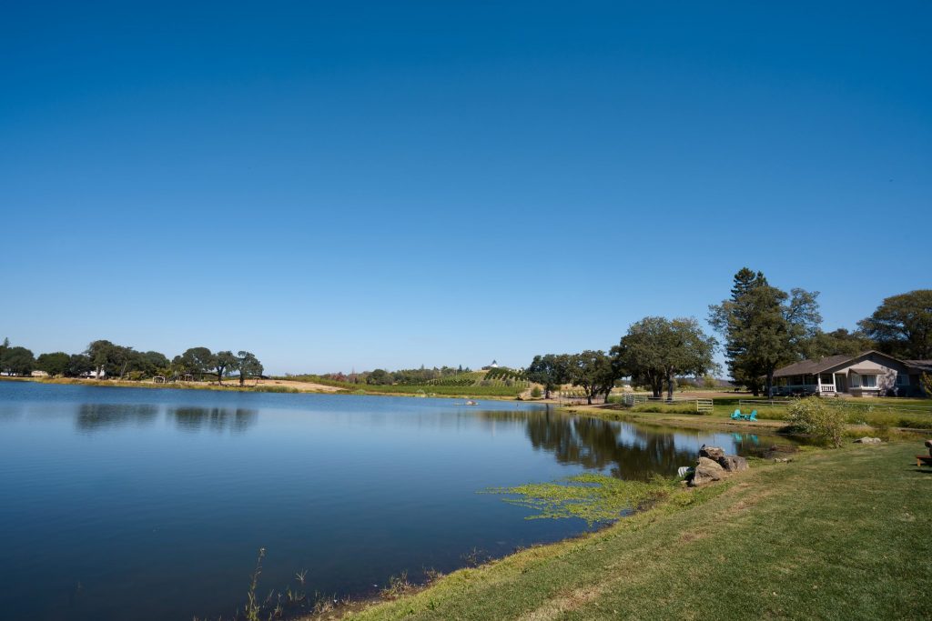 Saureel Vineyards lake house