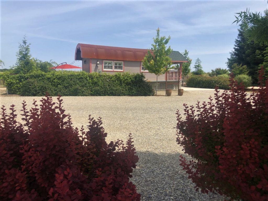 The Barn at Second Wind, Sacramento River Road, Country Farmland. Adjacent Wagon at Second Wind.