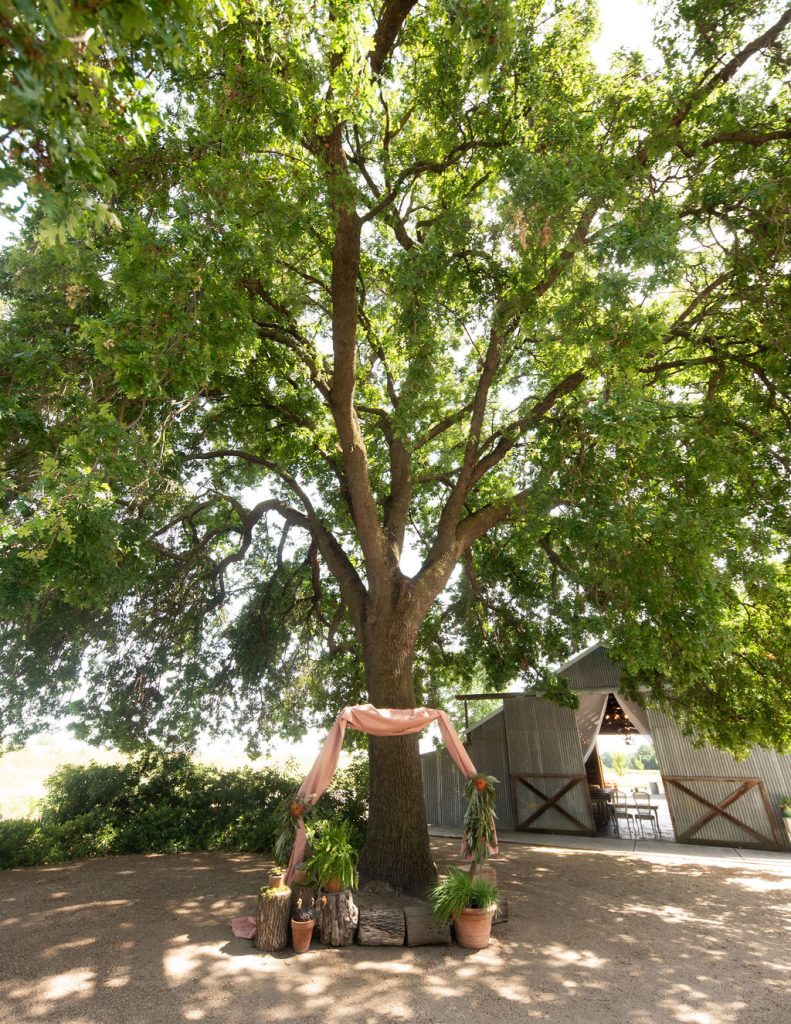 The Barn at Second Wind, Sacramento River Road, Country Farmland. Oak tree with wedding alter in front.