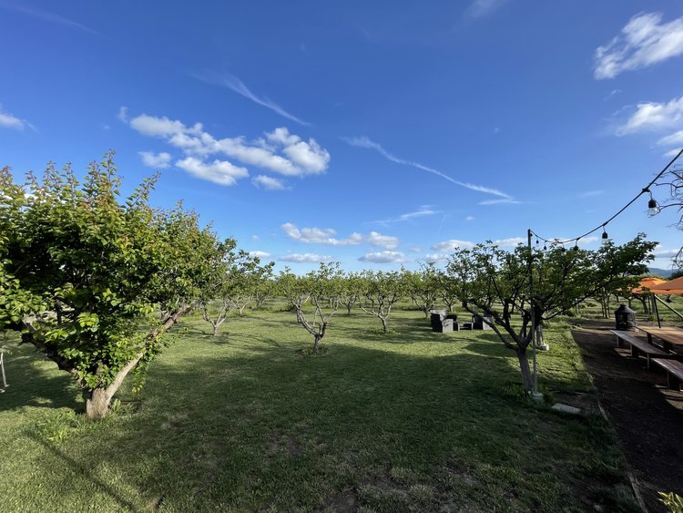 Polestar Farms Capay Valley Northern California