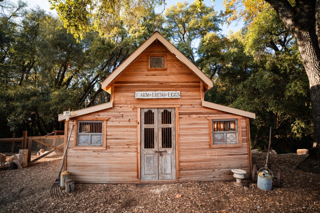 The Ranch at Stoney Creek, El Dorado County. Chicken shack; hen house.