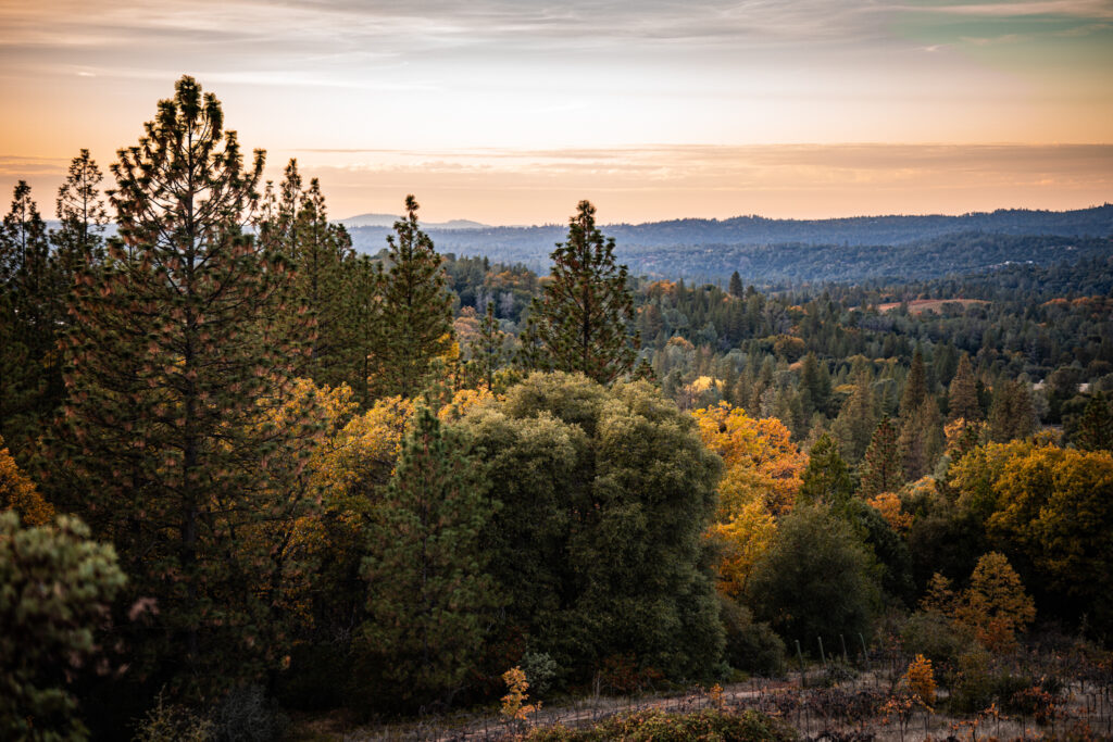 The Ranch at Stoney Creek, El Dorado County. View from the top overlooking the venue.