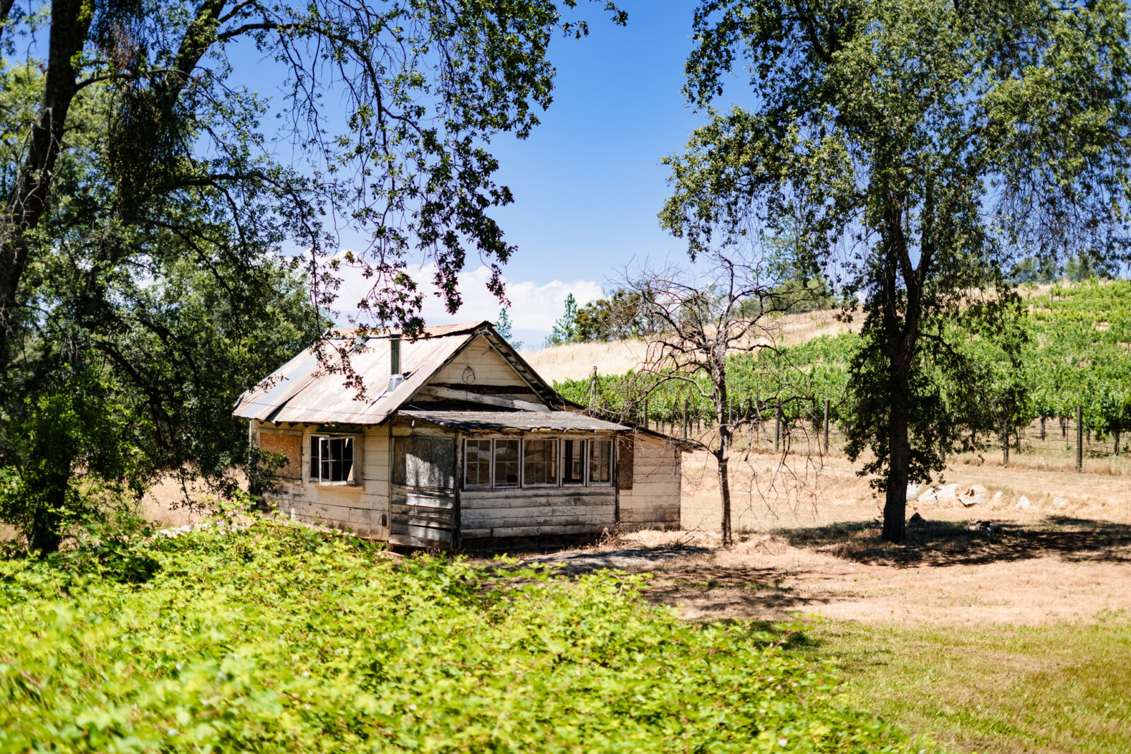 Mount Brow Vineyard, Gold Country, CA.  Old structure on property.