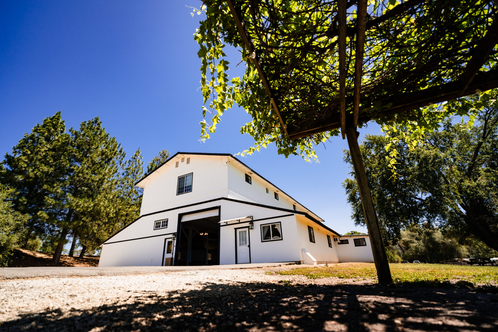 Mount Brow Vineyard, Gold Country, CA.  White event barn.