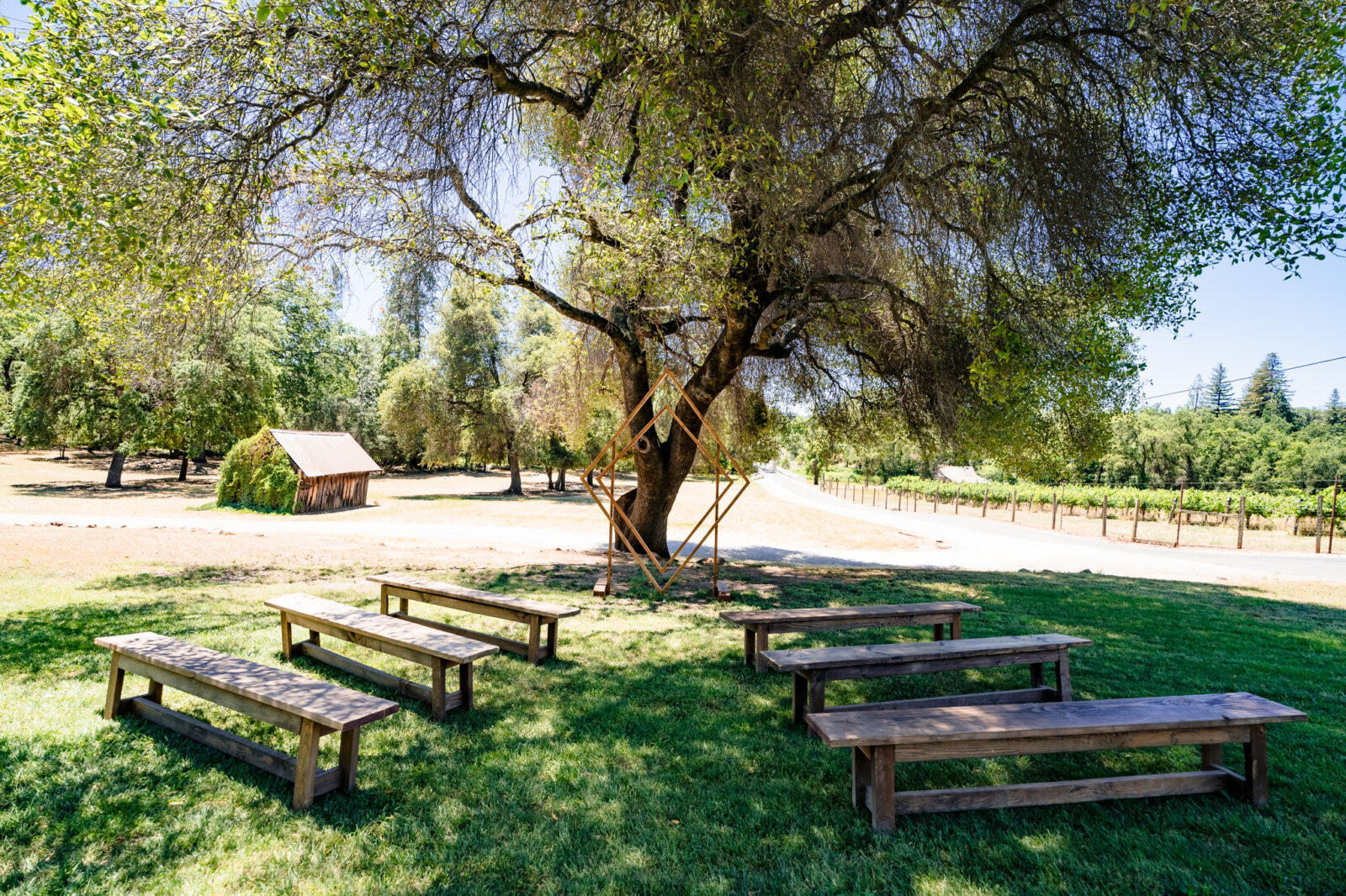 Mount Brow Vineyard, Gold Country, CA. Ceremony set up under tree.